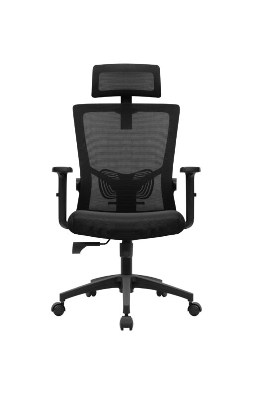 CADEIRA PRESIDENTE C550