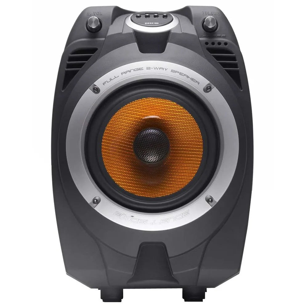 MODULO DE AUDIO 100W PK-550 NKS EXCELLENCE - 110CXA55N