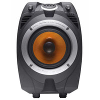 MODULO DE AUDIO 100W PK-550 NKS EXCELLENCE - 110CXA55N